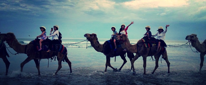 Anna Bay and Camel Riding at Port Stevens