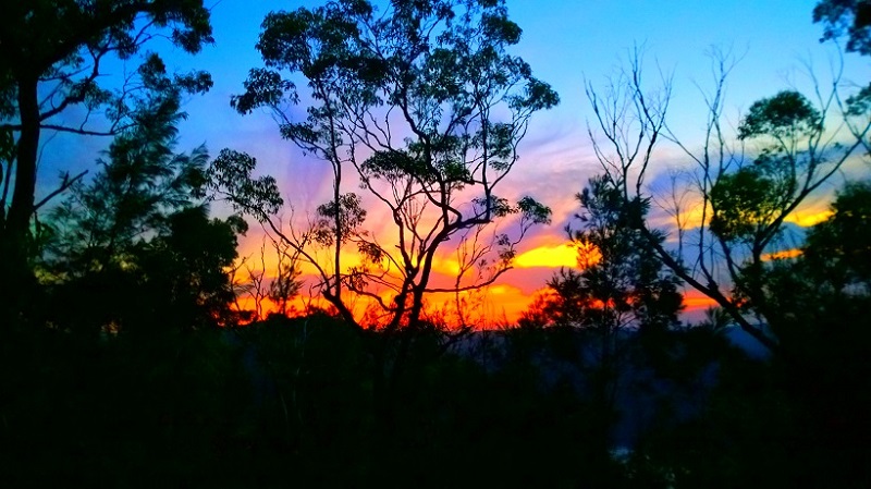 Berowra Waters Lookout Sunset
